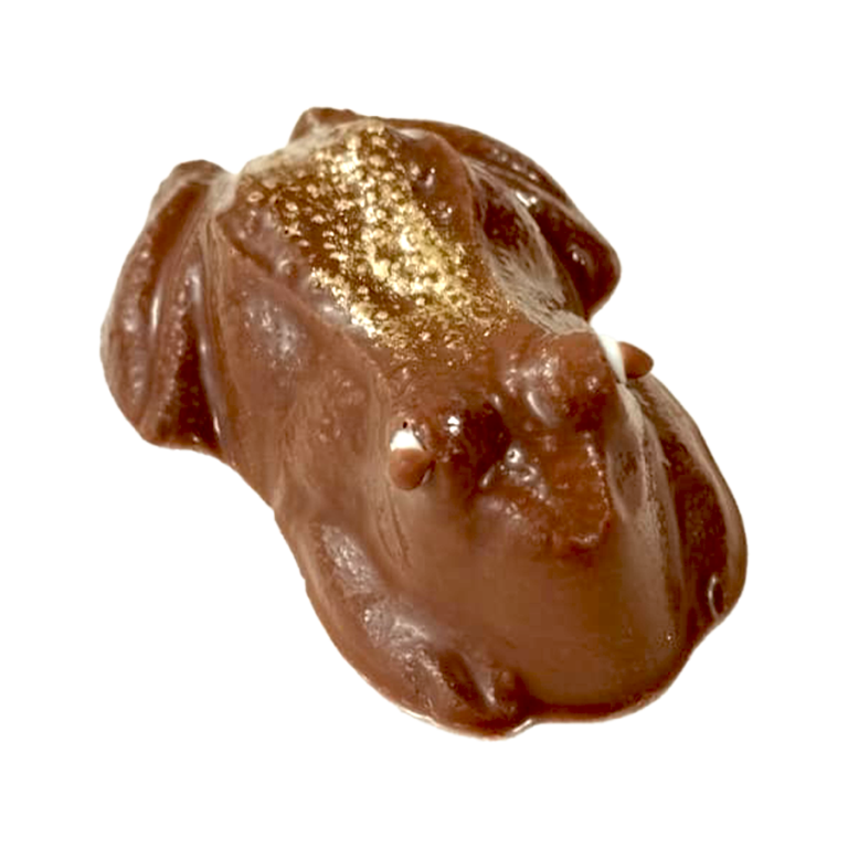 FIGURAS PERSONALIZADAS CHOCOLATE